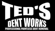 teddent - Paintless Dent Removal